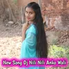 About New Song Dj Nili Nili Anko Wali Song